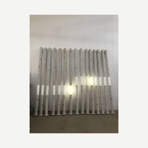 Lighting view of the same coordinated birch-style display props