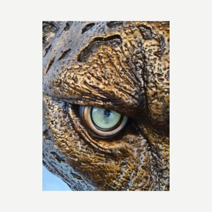 Eye and surface detail on the same leopard head wall sculpture