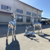 Mirror stainless steel deer family sculpture group for a landscape project
